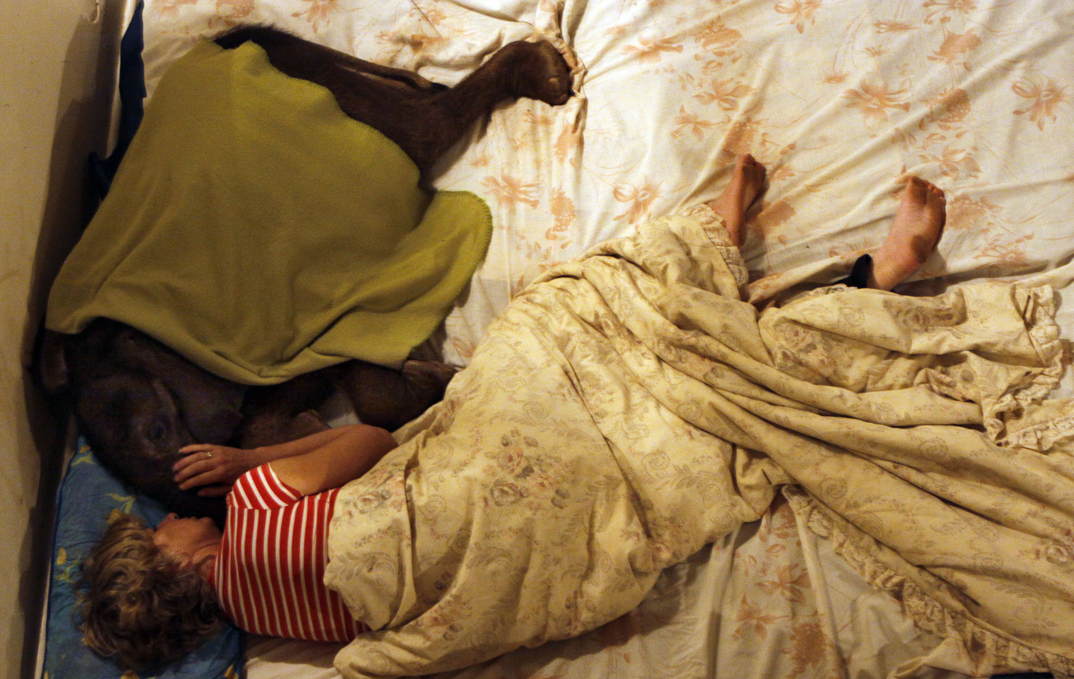 Ορφανό ελεφαντάκι «ξαναγύρισε» στη ζωή χάρη στην αγάπη μιας γυναίκας